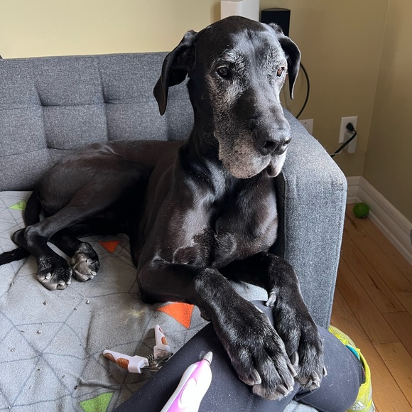 Meet your Posher, Cindy - Picture 1 of 4